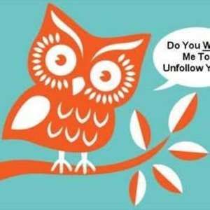 Meet your Posher, Lynn